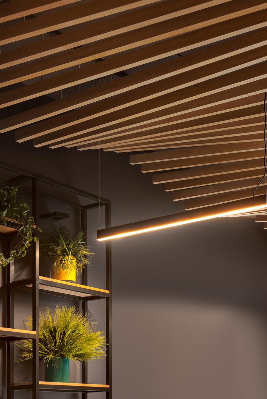 Interior Designs